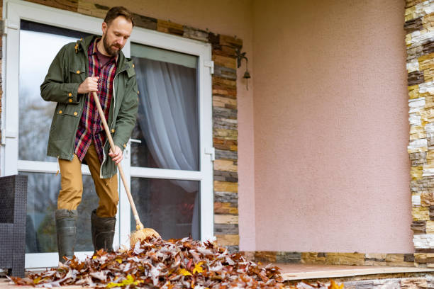 Best Electronics Removal Services  in Nevada, MO
